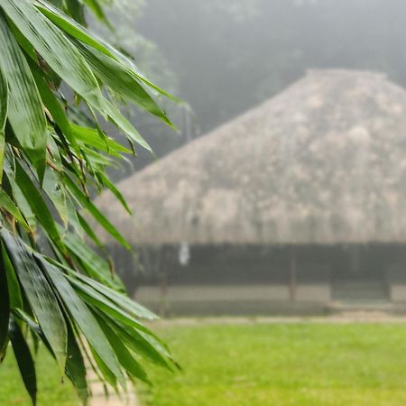 Bamboo Grove Bed & Breakfast Mananthavady Exterior photo