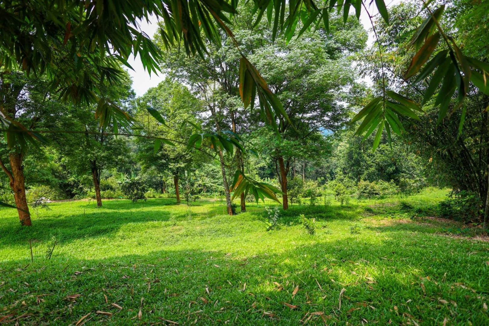 Bamboo Grove Bed & Breakfast Mananthavady Exterior photo