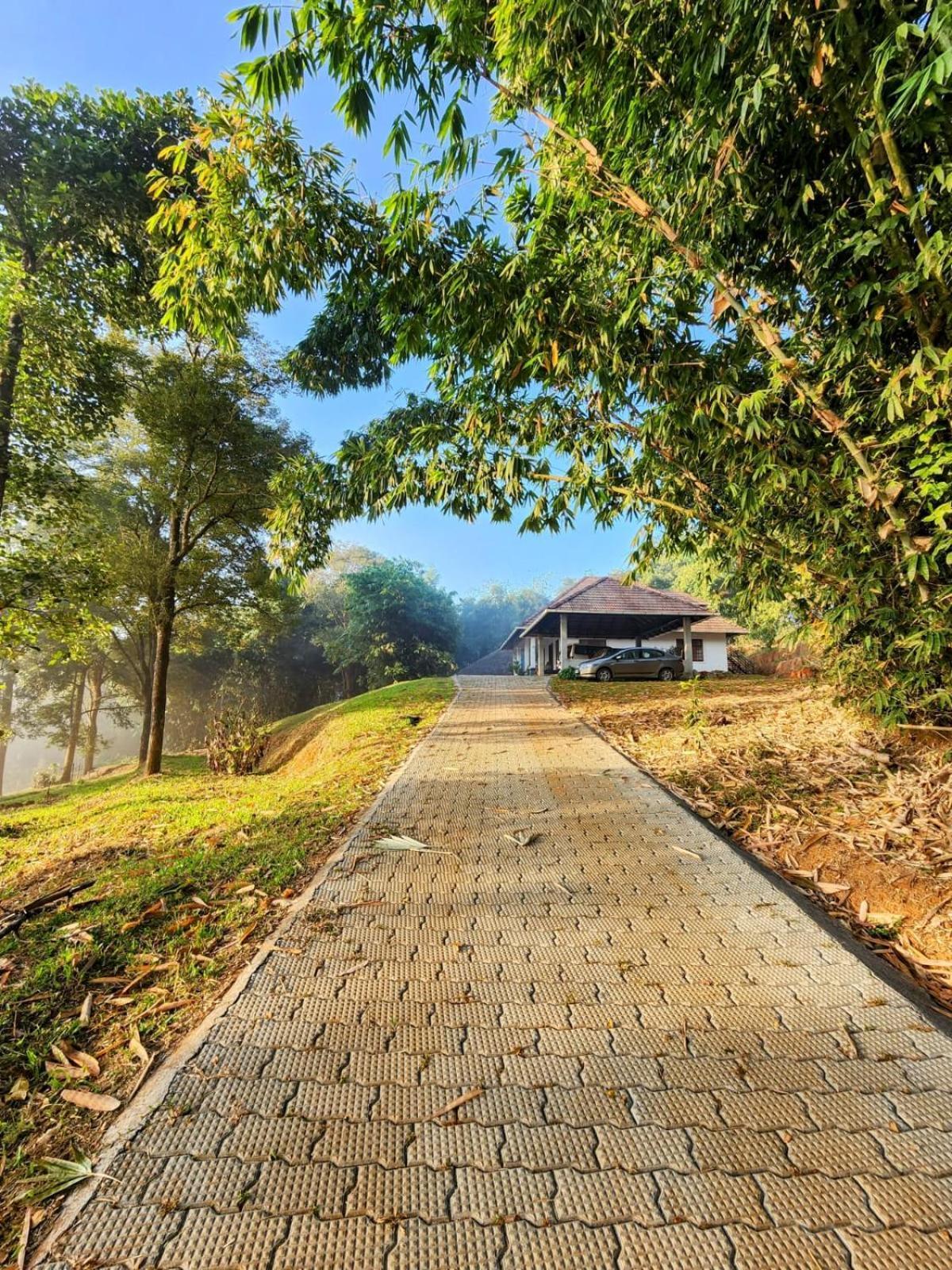 Bamboo Grove Bed & Breakfast Mananthavady Exterior photo